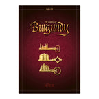 The Castles of Burgundy