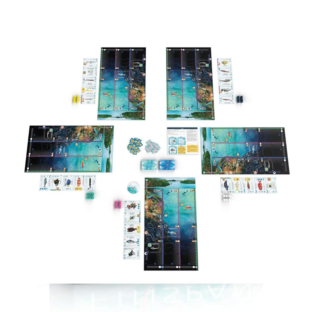 Finspan Board Game
